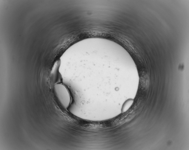 X0000097900458200804111049