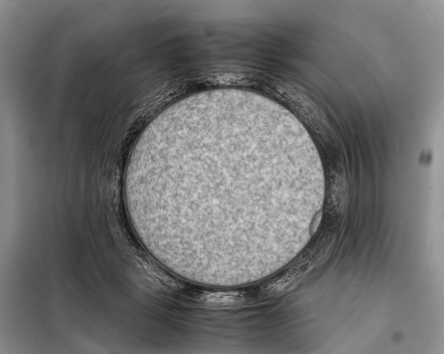 X0000097900461200804111049