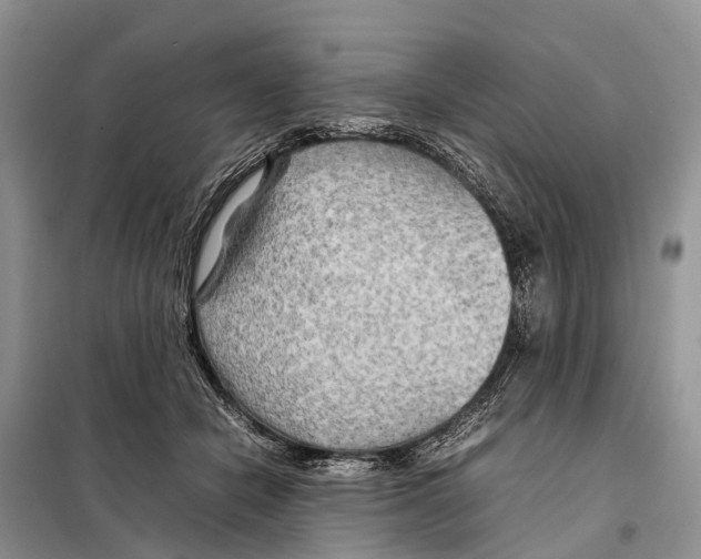 X0000097900462200804111049