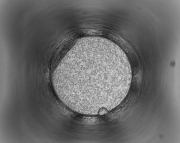 X0000097900469200804111049