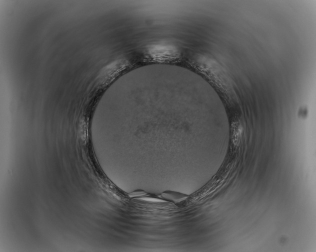 X0000097900471200804111049