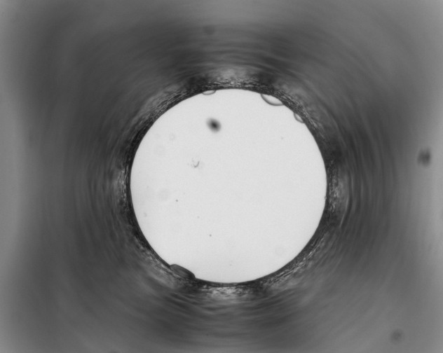 X0000097900473200804111050