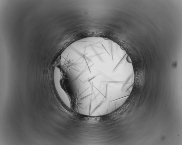 X0000097900474200804111050