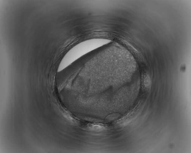 X0000097900475200804111050