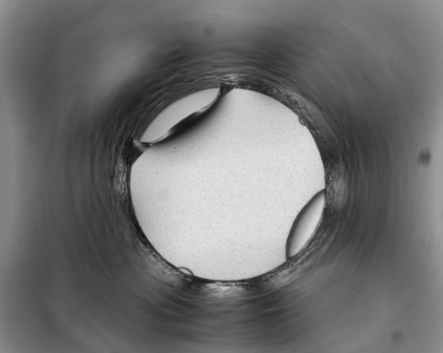 X0000097900477200804111050