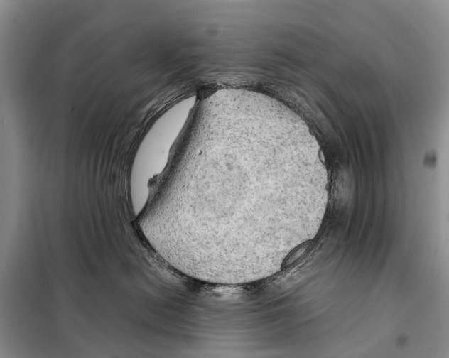 X0000097900478200804111050