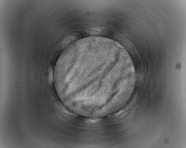 X0000097900479200804111050