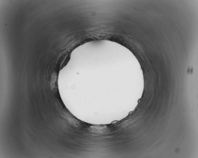 X0000097900480200804111050