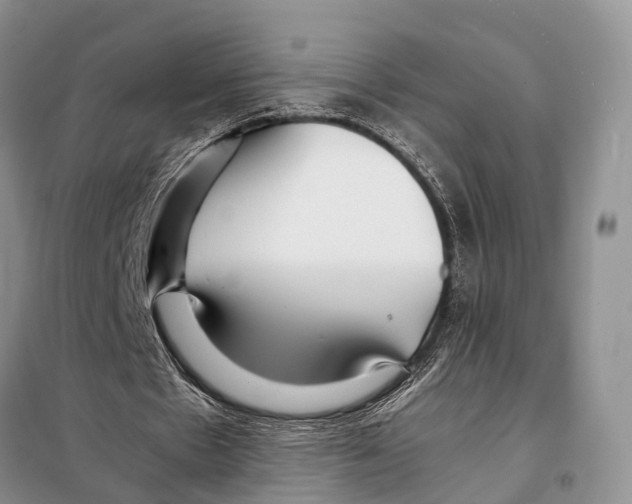 X0000097900481200804111049