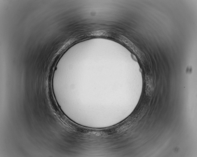 X0000097900482200804111049