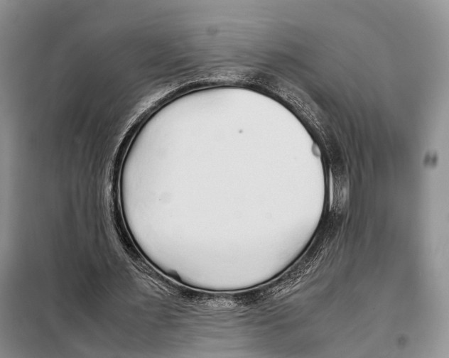 X0000097900483200804111049