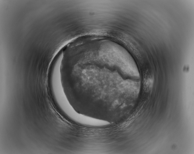 X0000097900484200804111049