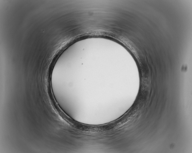 X0000097900485200804111049