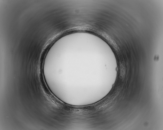 X0000097900486200804111049