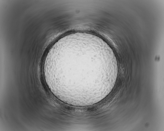 X0000097900487200804111049