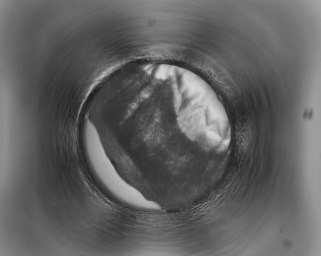 X0000097900488200804111049