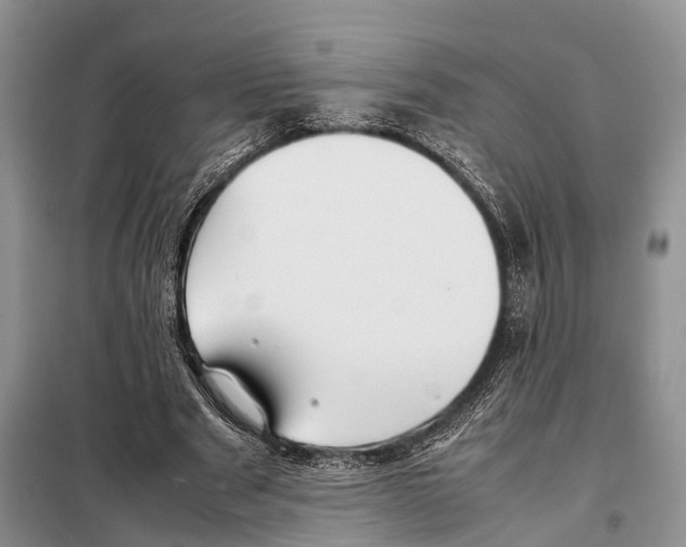 X0000097900489200804111048