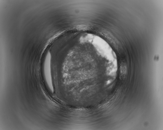 X0000097900492200804111048