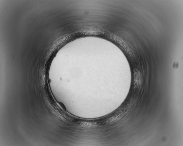 X0000097900494200804111048