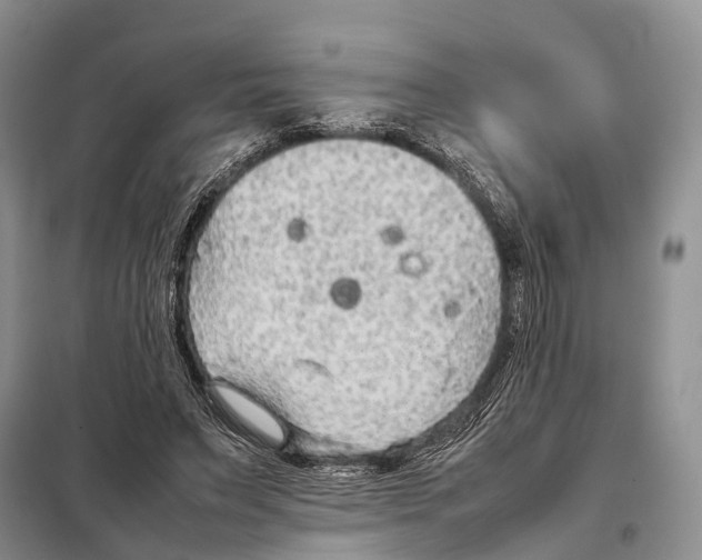 X0000097900495200804111048