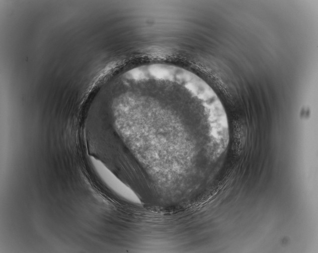 X0000097900496200804111048