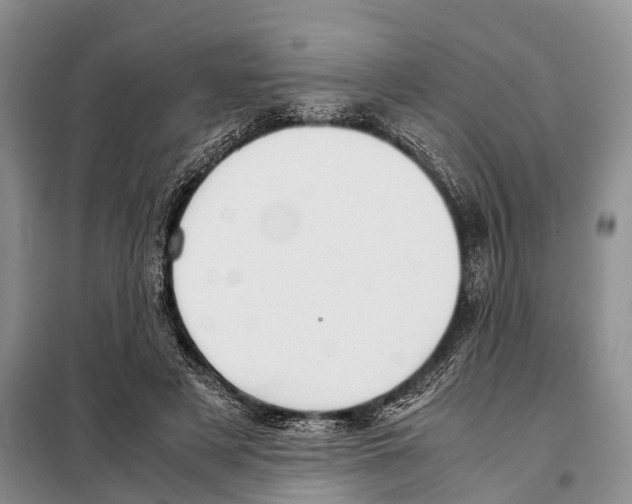 X0000097900497200804111048