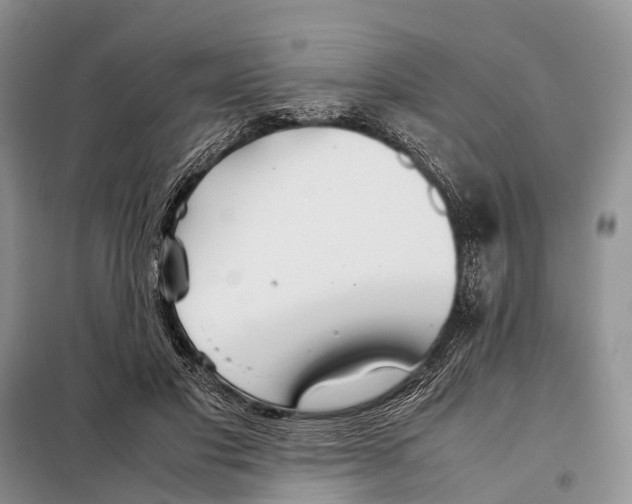 X0000097900501200804111048