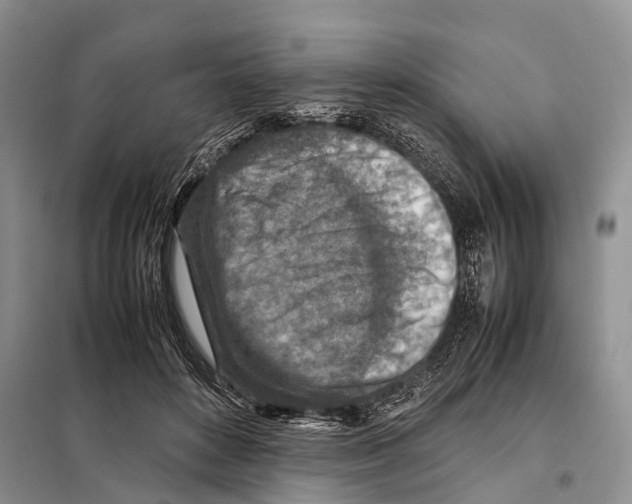 X0000097900504200804111048