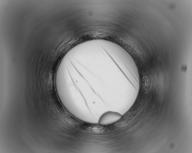 X0000097900506200804111048