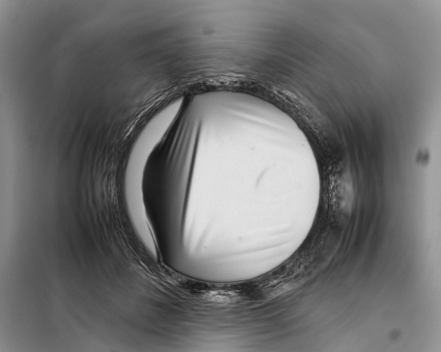 X0000097900508200804111048