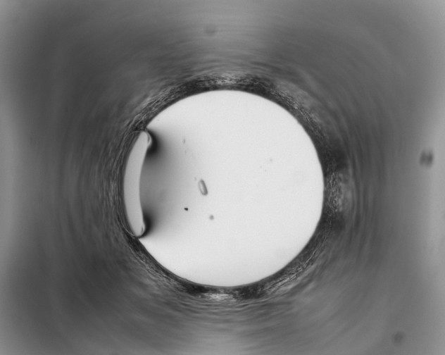 X0000097900509200804111048