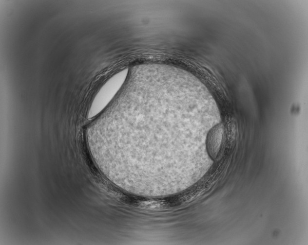 X0000097900511200804111048