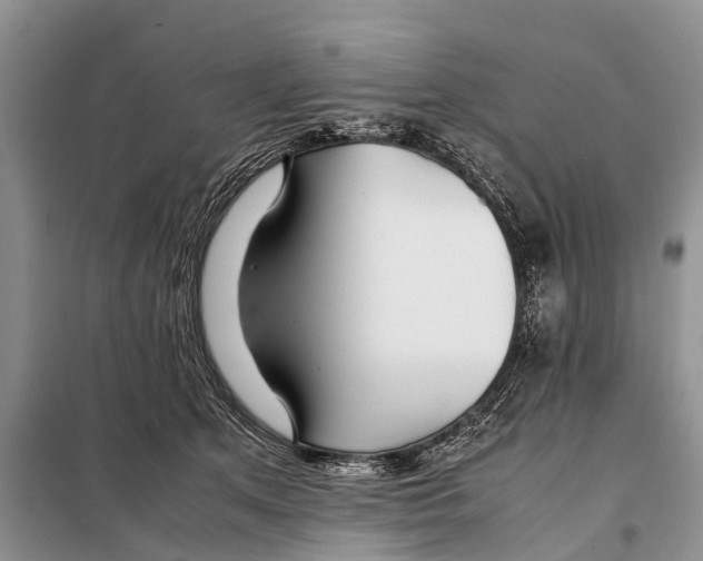 X0000097900513200804111048