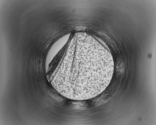 X0000097900516200804111048