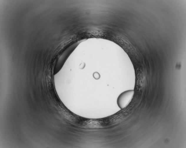 X0000097900518200804111048