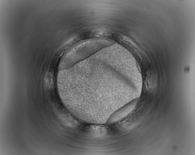 X0000097900520200804111048