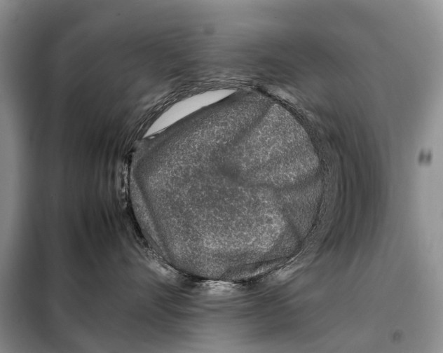 X0000097900528200804111048