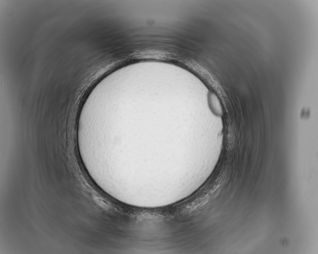 X0000097900529200804111047