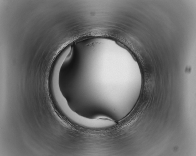 X0000097900530200804111047