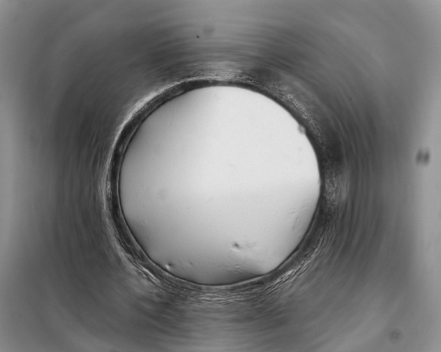 X0000097900532200804111047