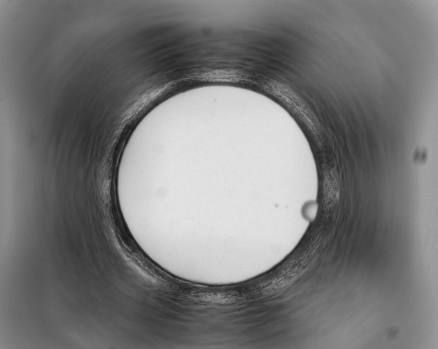 X0000097900533200804111047