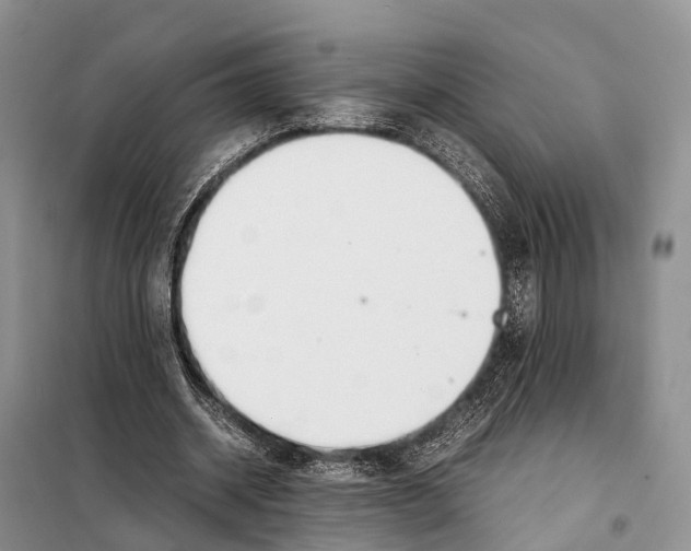 X0000097900534200804111047