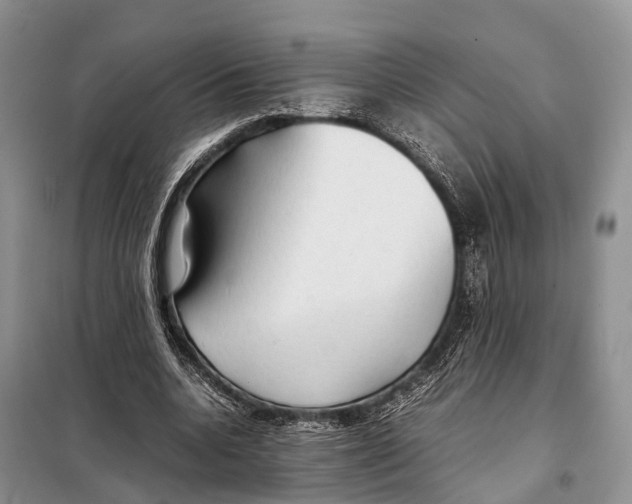 X0000097900536200804111047