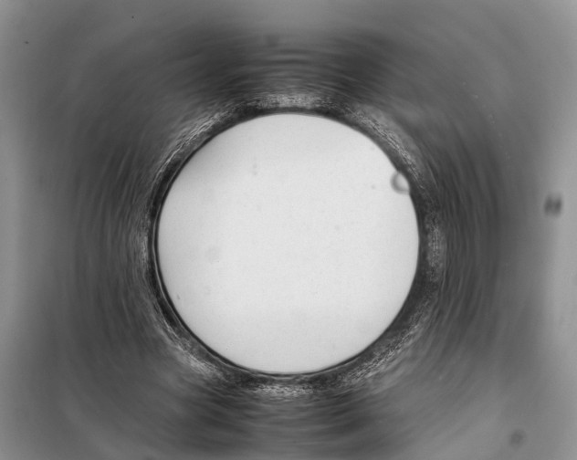 X0000097900537200804111047