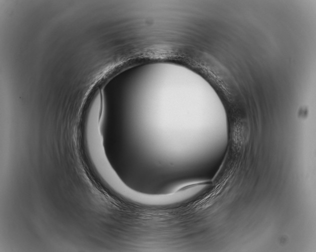 X0000097900540200804111047