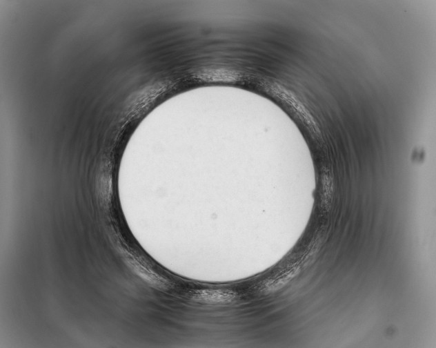 X0000097900541200804111047