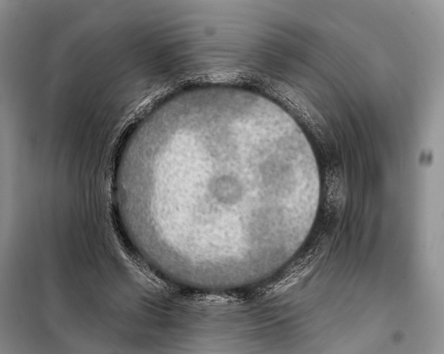 X0000097900542200804111047