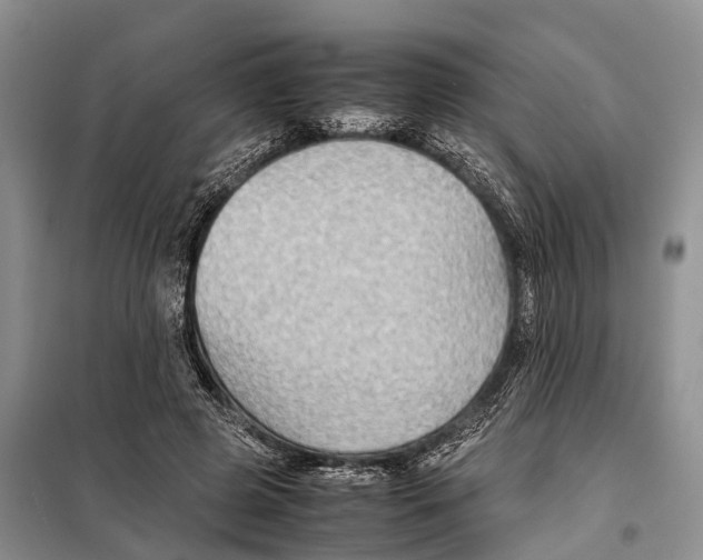 X0000097900545200804111047