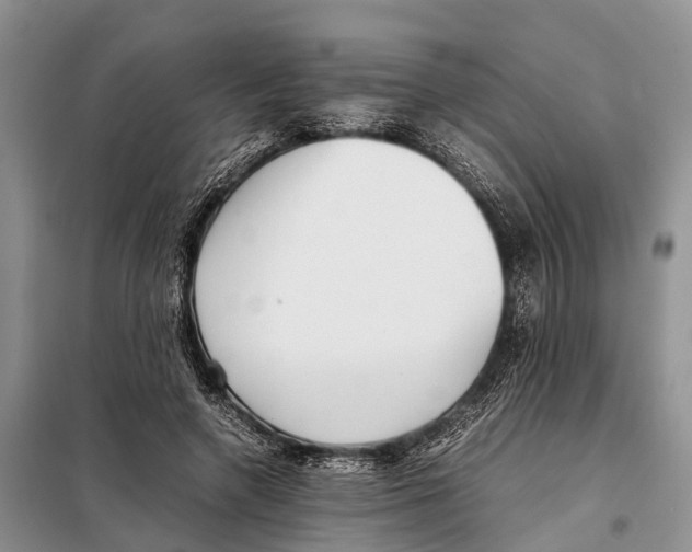 X0000097900546200804111047