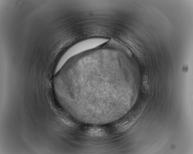 X0000097900547200804111047